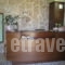 Olympia Guesthouse_best deals_Hotel_Macedonia_Imathia_Vergina