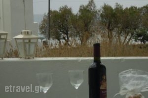 Studios Parian Blu_best deals_Hotel_Cyclades Islands_Antiparos_Antiparos Chora