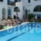 Pension Irene 2_accommodation_in_Hotel_Cyclades Islands_Naxos_Naxos Chora