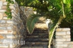 Petrino in Karpenisi, Evritania, Central Greece