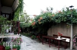 Arriba in Afissos, Magnesia, Thessaly