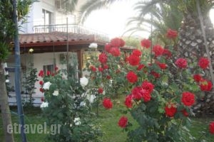 Cleopatra_accommodation_in_Hotel_Macedonia_Halkidiki_Haniotis - Chaniotis