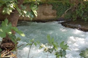 Asterina Seaside Apartments_holidays_in_Apartment_Crete_Chania_Fournes