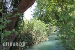 Asterina Seaside Apartments in Fournes, Chania, Crete