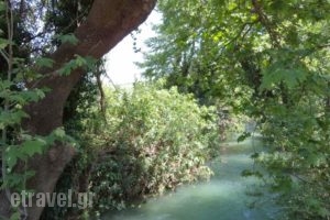 Asterina Seaside Apartments_accommodation_in_Apartment_Crete_Chania_Fournes