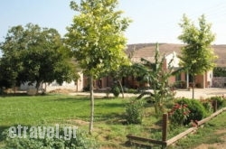 Areti in Vathianos Kambos, Heraklion, Crete