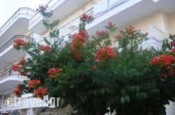 Poseidon in  Alimos (Kalamaki), Attica, Central Greece