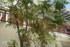 Hotel Maroulis_travel_packages_in_Cyclades Islands_Naxos_Naxos Chora