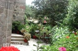 Marianthi Toroz Rooms & Studios in Mythimna (Molyvos) , Lesvos, Aegean Islands