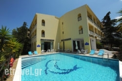 Ams in Skopelos Chora, Skopelos, Sporades Islands