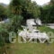 Villa Tasos_best deals_Villa_Ionian Islands_Corfu_Acharavi