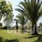 Thomas Bungalows-Houses_accommodation_in_Room_Ionian Islands_Corfu_Arillas