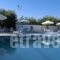 Klonos Anna_travel_packages_in_Piraeus Islands - Trizonia_Aigina_Aigina Rest Areas
