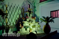 Thenia in Skiathos Chora, Skiathos, Sporades Islands