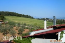 Paradise in Kalamaki, Zakinthos, Ionian Islands