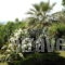 Sanorama Suites_best deals_Apartment_Macedonia_Halkidiki_Sani