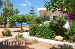 Fragokastello Star in Sandorini Rest Areas, Sandorini, Cyclades Islands