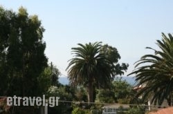 Harris Apartments in Ierissos, Halkidiki, Macedonia