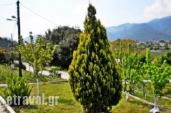 Xenonas Bizani in  Krya Vrysi , Evia, Central Greece