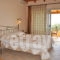 Lidovois Apartments and Studios_holidays_in_Room_Ionian Islands_Corfu_Corfu Rest Areas