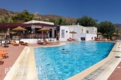 Purple Pig Stars Camping & Bungalows in Paros Chora, Paros, Cyclades Islands