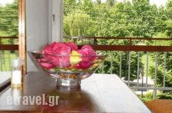 Astron in  Spata, Attica, Central Greece