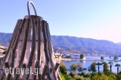 Saga Hotel in Zakinthos Rest Areas, Zakinthos, Ionian Islands