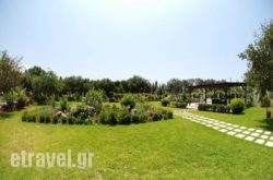 Dallas in Plakias, Rethymnon, Crete