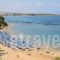 Katerina_holidays_in_Hotel_Crete_Chania_Chania City