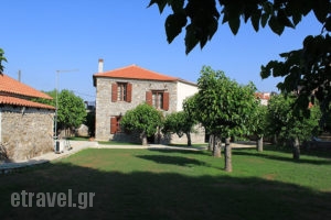 Archontiko Evio_lowest prices_in_Hotel_Peloponesse_Arcadia_Leontari