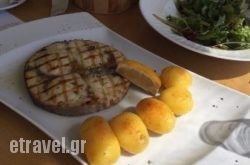 Aelia Beach Bar & Restaurant in Naousa, Imathia, Macedonia