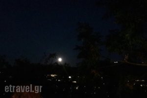 Yades_food_in_Restaurant___Athina