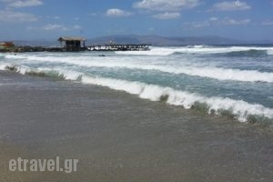 Island Summer Bar Restaurant_food_in_Restaurant___Agia Marina