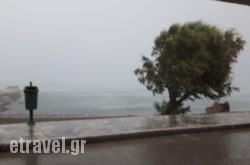 Zorbas Tavern in Naxos Chora, Naxos, Cyclades Islands
