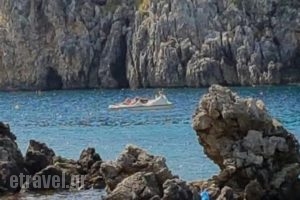 Yialos Beach Taverna_food_in_Restaurant___Paleokastritsa