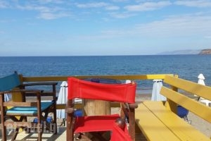 Lemon Bar_food_in_Caf? and Bar___