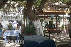 Lambros in  Paralia Panteleimonas, Pieria, Macedonia