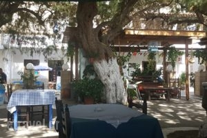 Lambros_food_in_Restaurant___