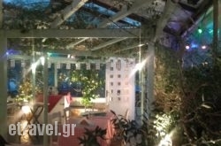 O Tzitziras ki O Mitziras in Mykonos Chora, Mykonos, Cyclades Islands