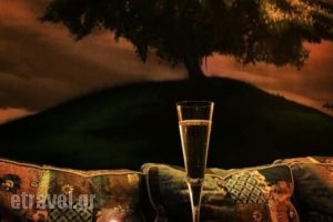 Acropaul's_food_in_Restaurant___