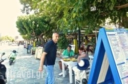 Aktaion Restaurant in Glossa, Skopelos, Sporades Islands