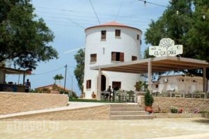 Almyriki_food_in_Restaurant___Stavros