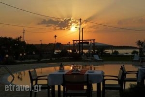 Ammus Restaurant Cafe_food_in_Restaurant___Thinali