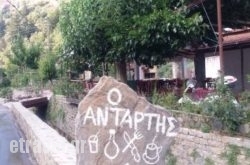 Antartis Restaurant and Tavern in Therisos, Chania, Crete