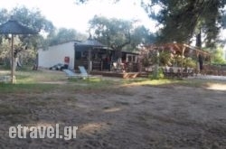 Arriba Chill Out Beach Bar in Thasos Chora, Thasos, Aegean Islands