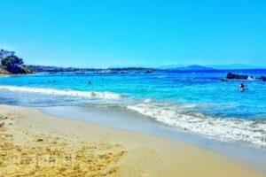 Baralia Cafe Bar_food_in_Caf? and Bar___Chania