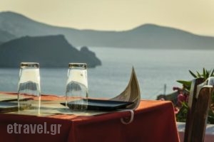 Barriello_food_in_Restaurant___Tripiti