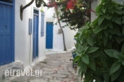 Basilikos in Apikia, Andros, Cyclades Islands