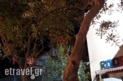 Roof Garden in Triovasalos, Milos, Cyclades Islands
