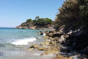 Shoestring_food_in_Restaurant___Ammoudi